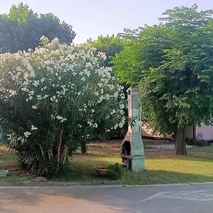 https://loasi-di-lulu.riccione-hotels.org